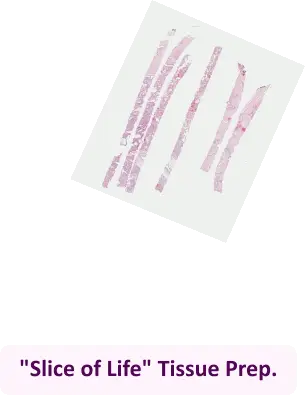 Slide animation